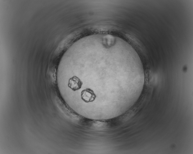 X0000116850718201001051506