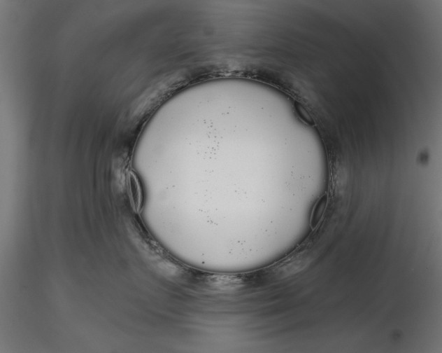 X0000116850719201001051506