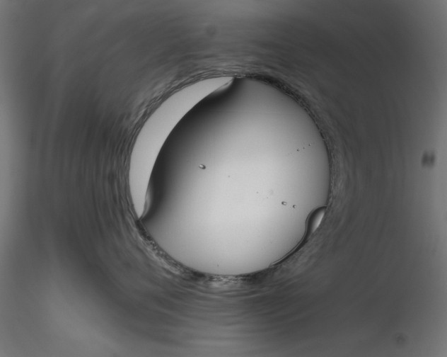 X0000116850720201001051506