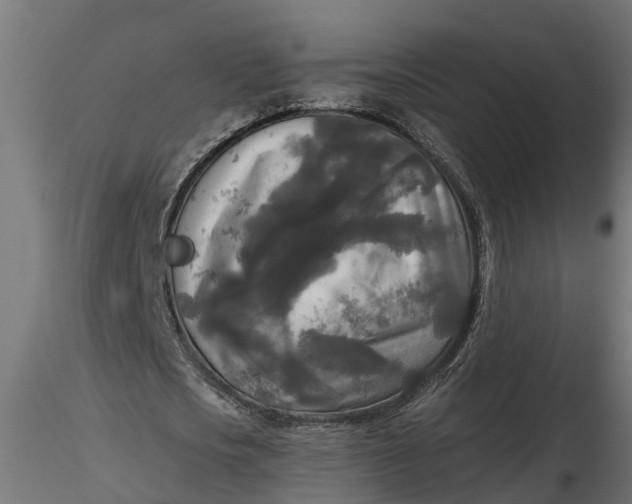 X0000116850721201001051505