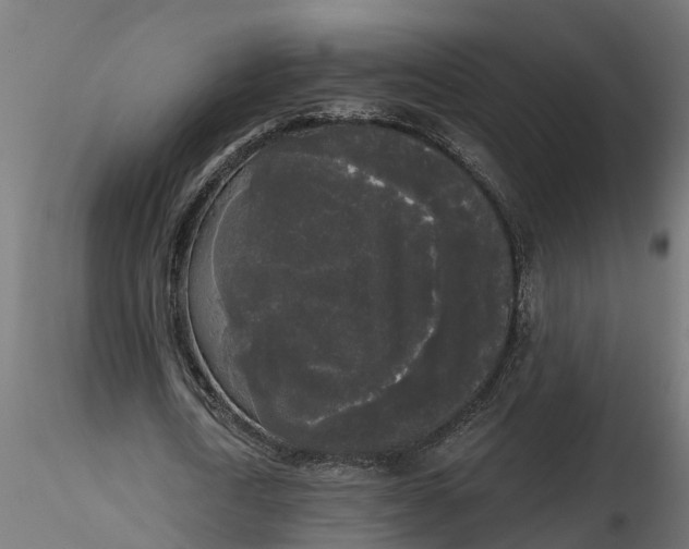 X0000116850722201001051505