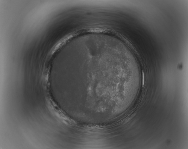 X0000116850723201001051505