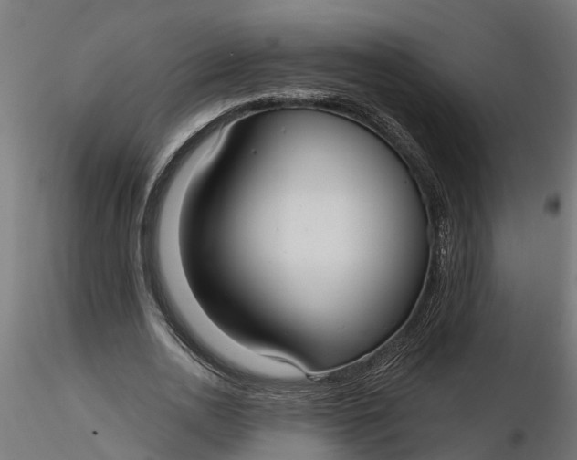 X0000116850726201001051505