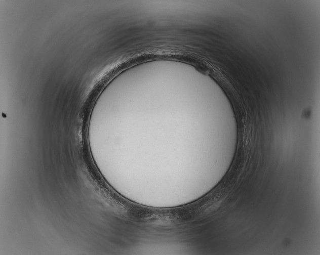 X0000116850727201001051505