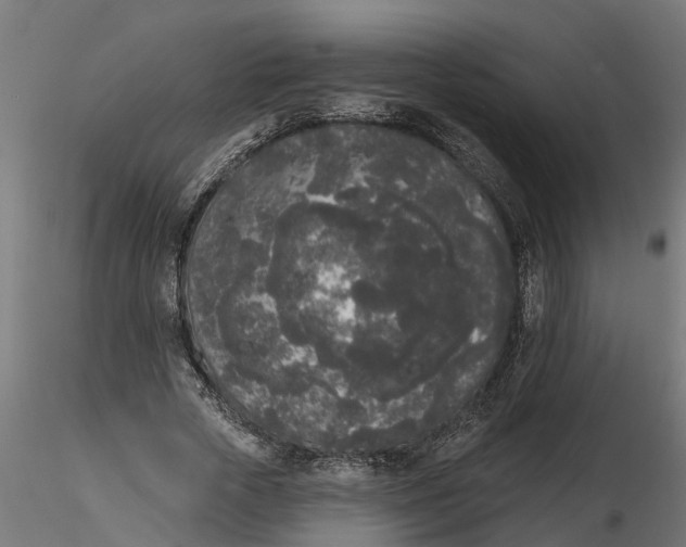 X0000116850729201001051505