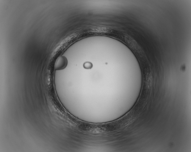 X0000116850731201001051505