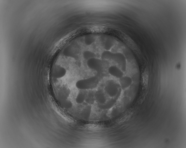 X0000116850733201001051505