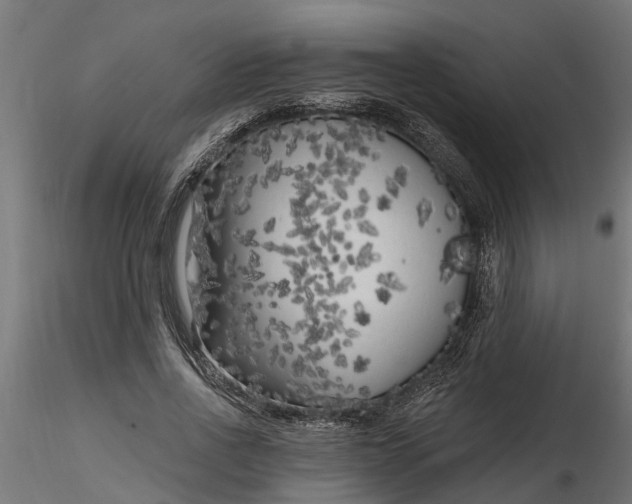 X0000116850734201001051505