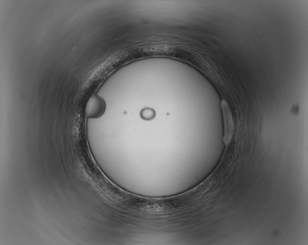 X0000116850735201001051505