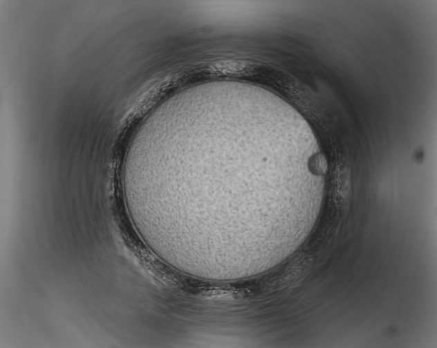 X0000116850738201001051506