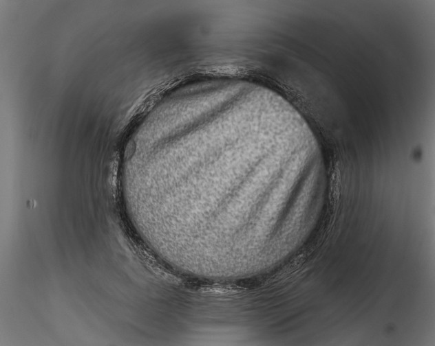 X0000116850739201001051506