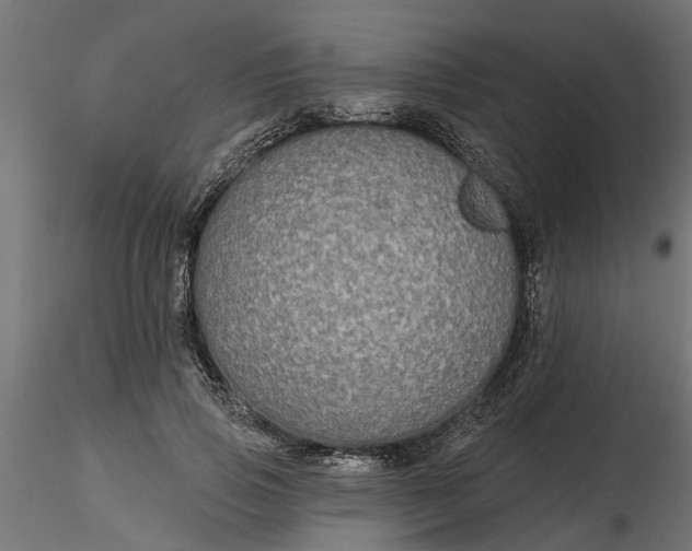 X0000116850741201001051506