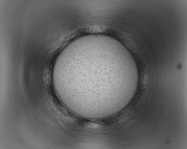 X0000116850743201001051506