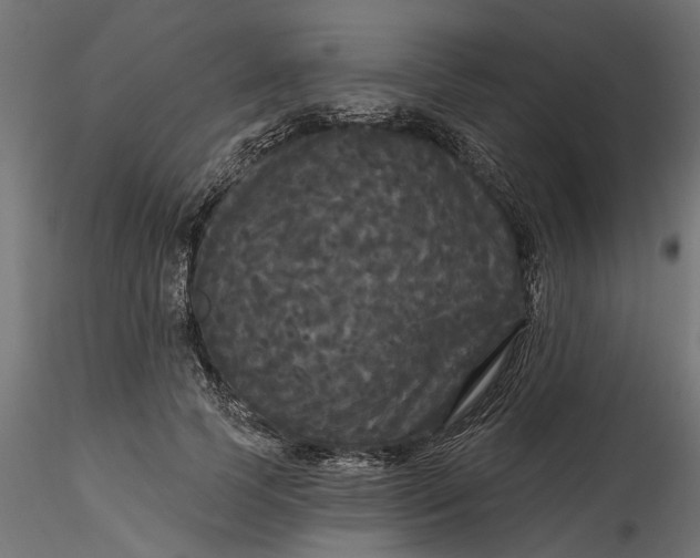 X0000116850745201001051506