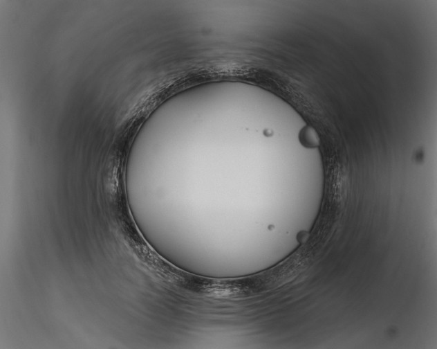 X0000116850746201001051506