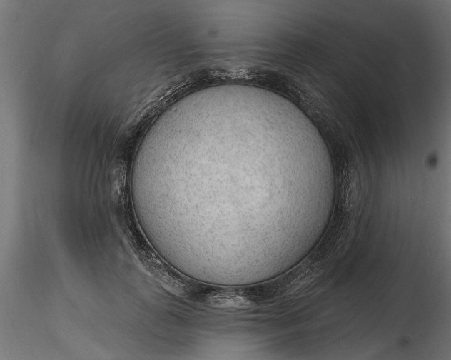 X0000116850747201001051506