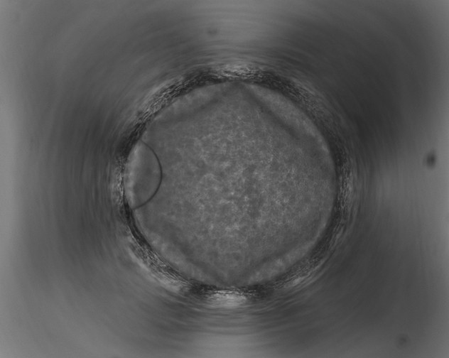 X0000116850749201001051506