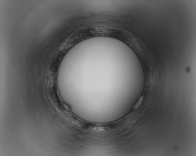 X0000116850751201001051506