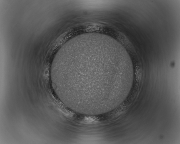 X0000116850753201001051506