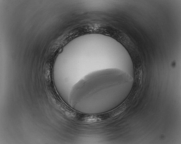 X0000116850754201001051506