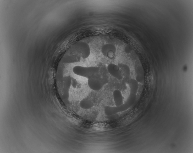 X0000116850757201001051506