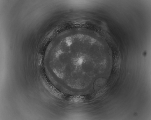 X0000116850758201001051506