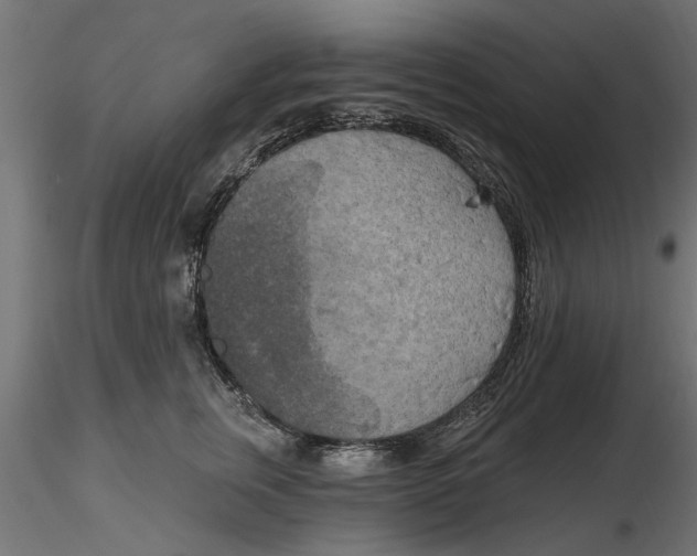 X0000116850759201001051506