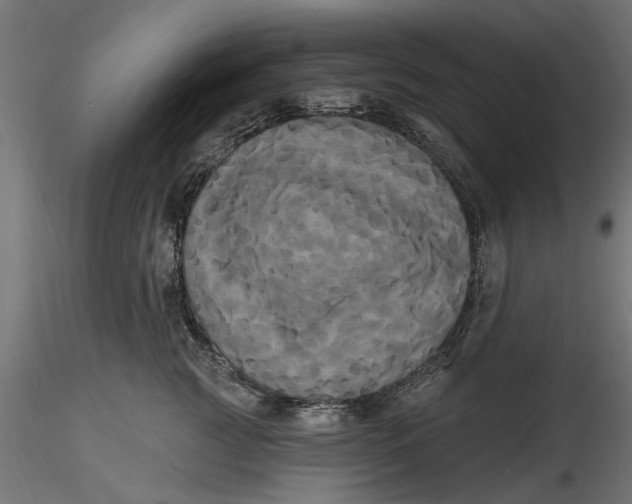 X0000116850761201001051506