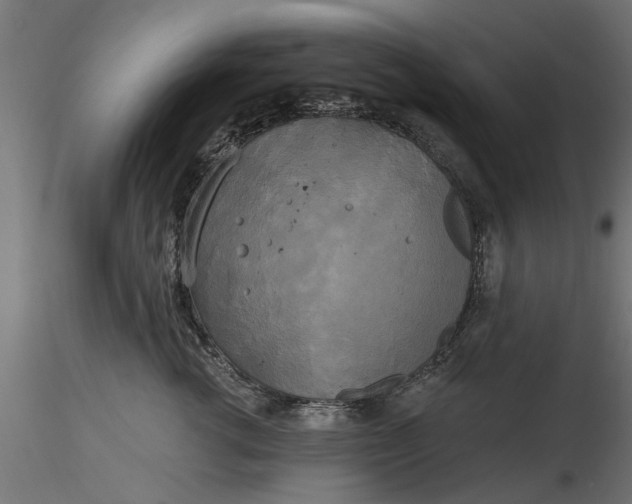 X0000116850762201001051506