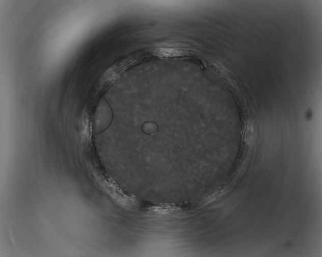 X0000116850763201001051506