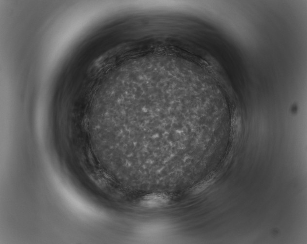 X0000116850765201001051506