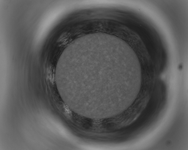 X0000116850766201001051506