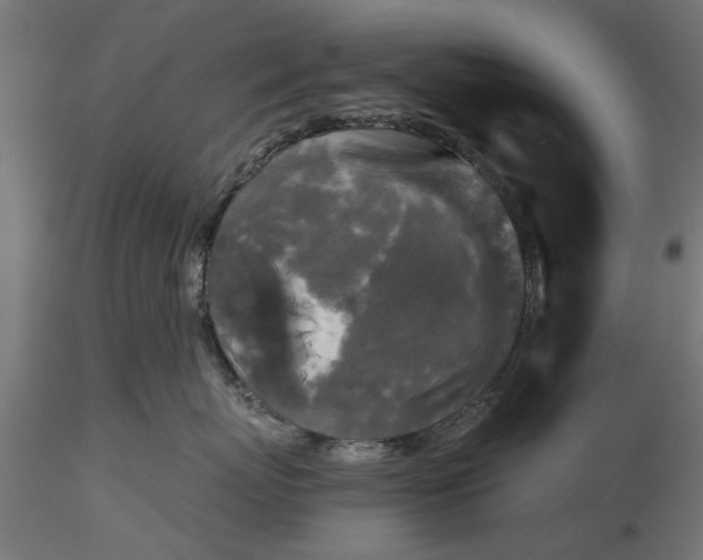 X0000116850767201001051506