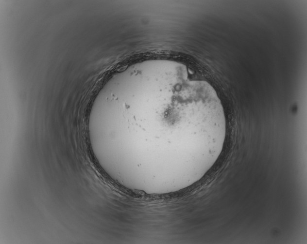 X0000116850769201001051505