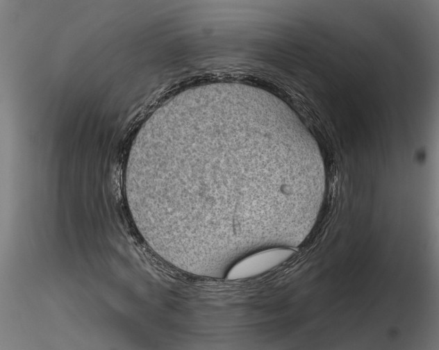 X0000116850772201001051505