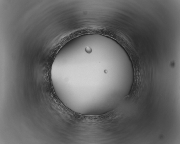 X0000116850773201001051505