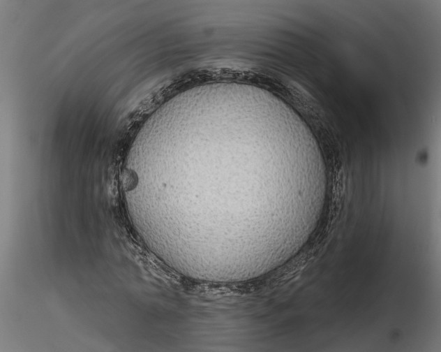 X0000116850774201001051505