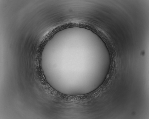 X0000116850776201001051505