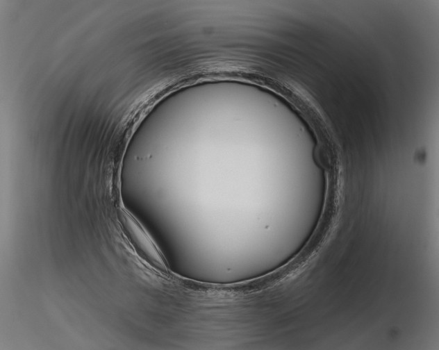 X0000116850777201001051505