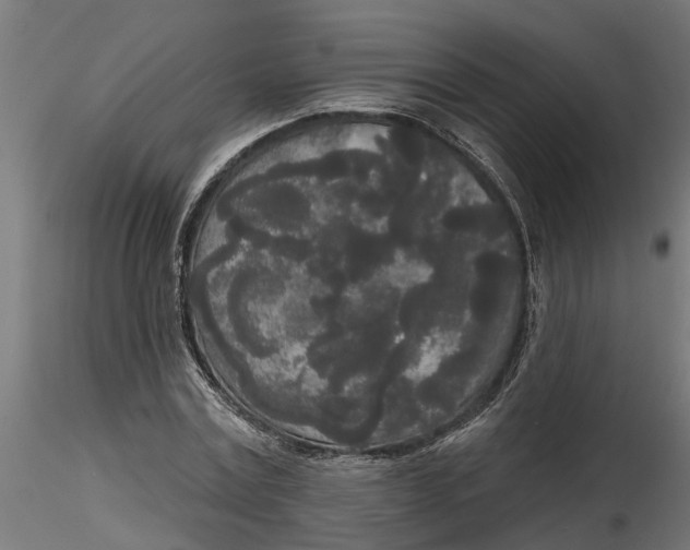 X0000116850779201001051505