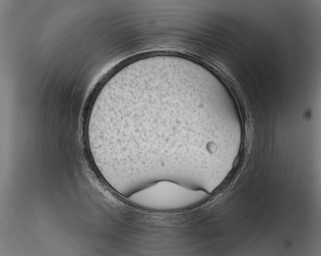 X0000116850780201001051505