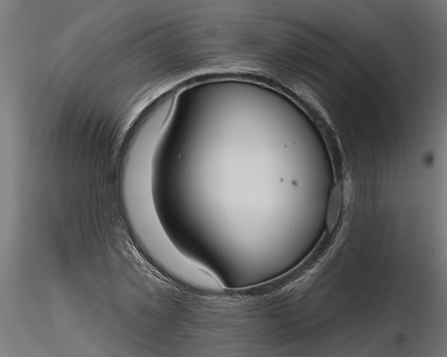 X0000116850781201001051505