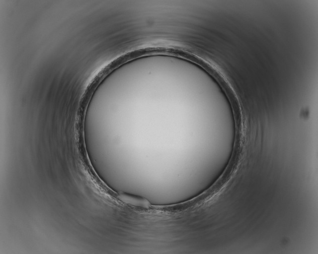 X0000116850783201001051505