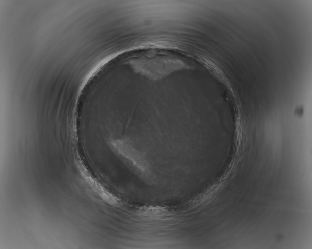 X0000116850784201001051505