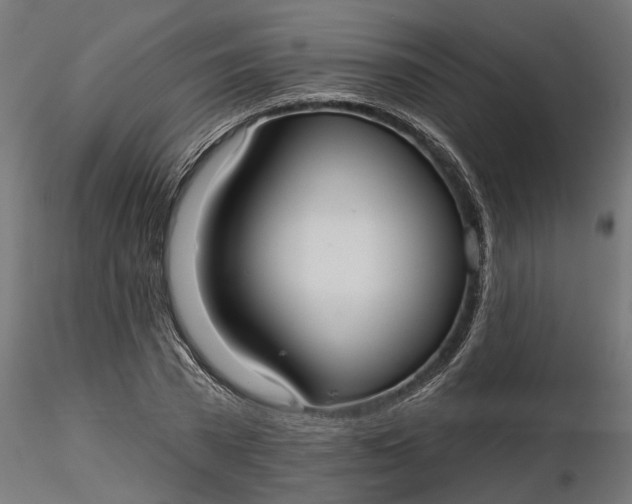 X0000116850785201001051505