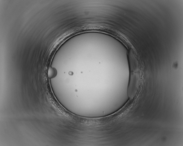 X0000116850786201001051505