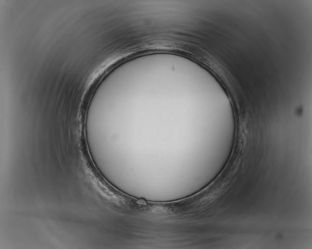 X0000116850787201001051505