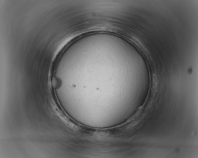 X0000116850788201001051505