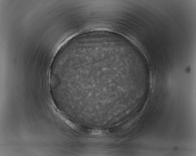 X0000116850790201001051505