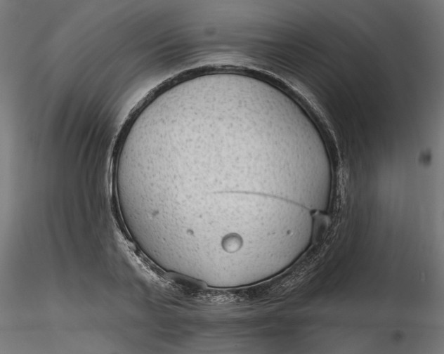 X0000116850791201001051505